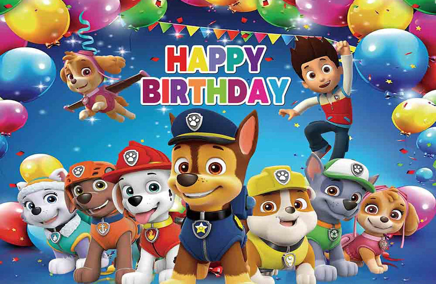 Paw Patrol All Pups Birthday party set