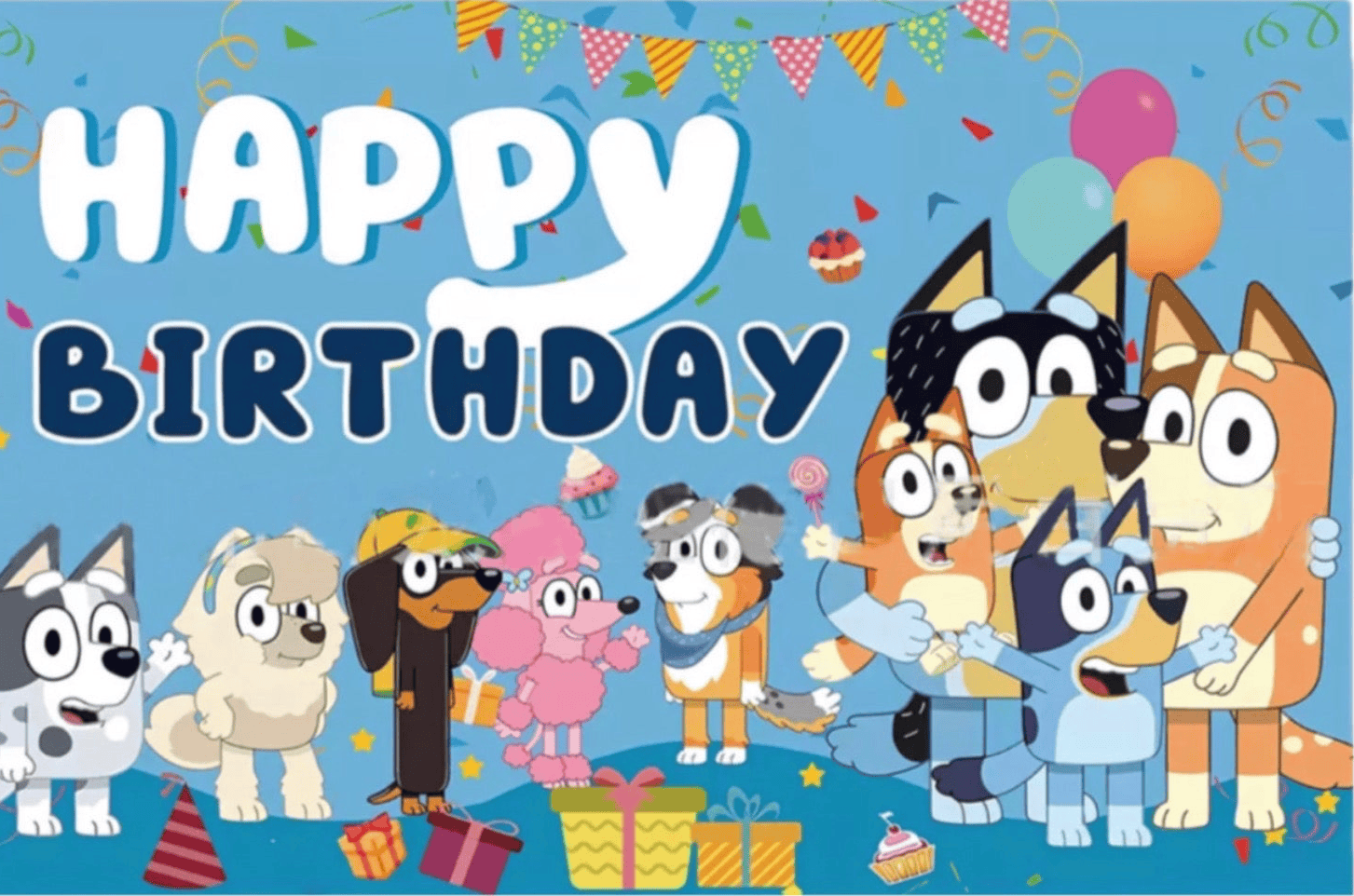 Bluey blue Birthday Party Decorations – Complete Decoration Set.